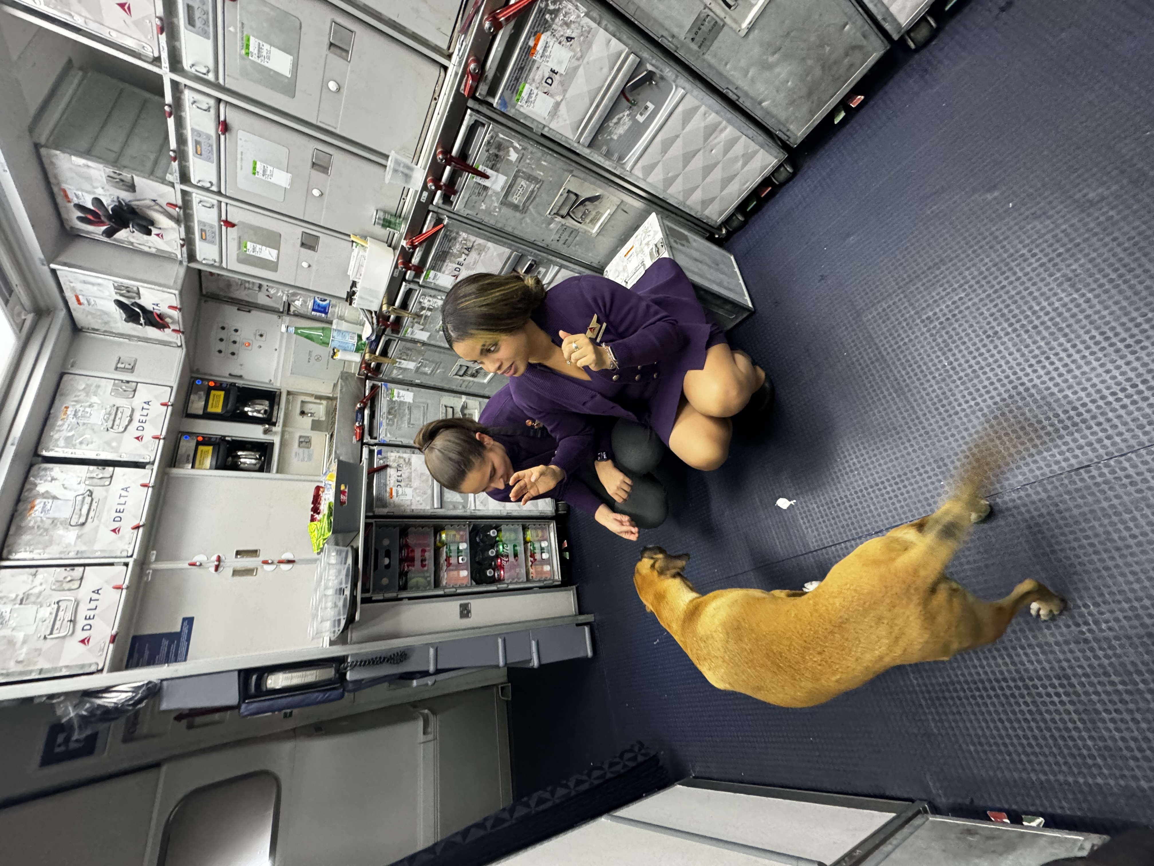 Flight attendant loving on Copper